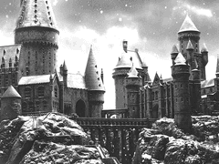 [명헌태섭] 북극성과 바다가 맞닿을 때