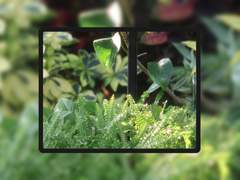 [배경화면] 삶의 의욕 (ipad ver.)