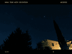 좀아포틴&캐럿소녀