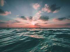 Thanks Cassiopeia, It’s Stardays