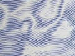 가이드를 잃은 센티넬은 +