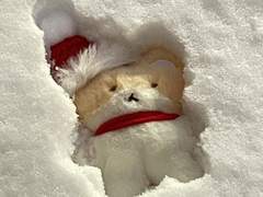 동글납작세모네모