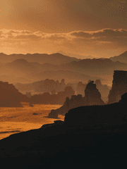 멸종한 인류와의 재회