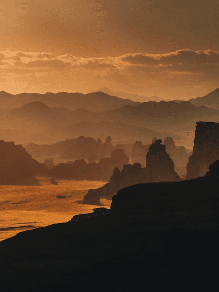 멸종한 인류와의 재회(2)