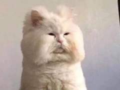 세상이 호락호락하면 그게 세상인가요 TALK 00