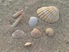 엔하이픈 젱양 포타 추천