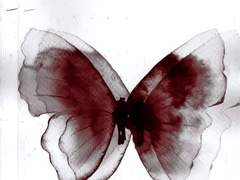 𝐩𝐫𝐨𝐟𝐢𝐥𝐞_ 𝐌𝐎𝐑𝐎𝐒