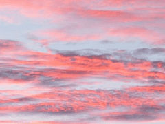 근원들의 계약 1화