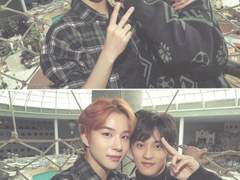 엔시티 나페스 추천