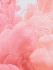 1차 성인 BL 단편