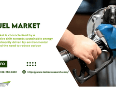 B5 Fuel Market: Notable Developments & Geographical Outlook 2028F