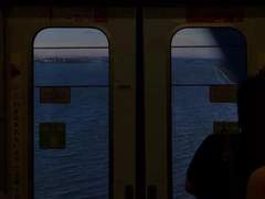 뛰어내리는 사랑만이 유일했던 거지?