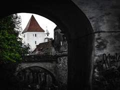 [베를랭보] 낯선 심장의 해부