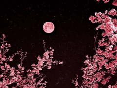 전하지 않을 편지