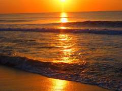 현실도피 (現実逃避)