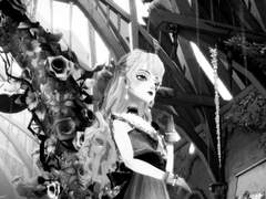 블라진 달네마르 네블리스