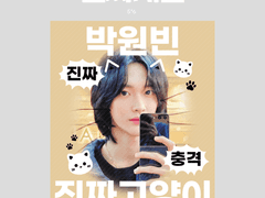 고정틀 한컷 판스티커(충격 진짜계심)