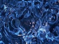 𝕭𝖑𝖔𝖔𝖉 𝕾𝖖𝖚𝖎𝖉