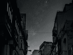 [蚌鷸之爭] :: profile