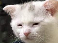 어쩌다가 내가 시한부 몸에?💀x3