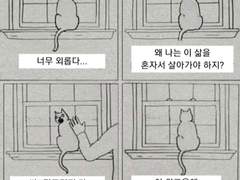 아마도 있을 것 같아.