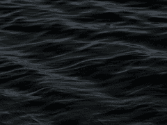 미완) 헛띠 임신튀