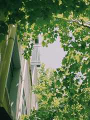 너와 만난 여름