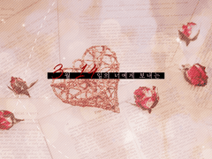 3월 14일의 너에게 보내는