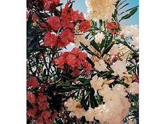 한여름 데이지 신드롬