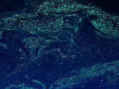 전방 거리 유지 3m!