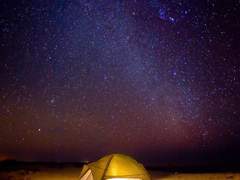 땅 위에 꽃 피운 별 하나, 그대를 위해