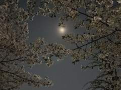 [백도] 딱히 대단한건 아니고.