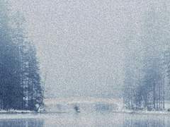 딜레마의 대상자