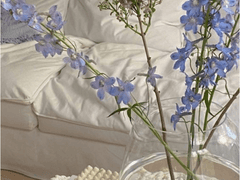 캐럿 데이 이벤트 배송 안내 3