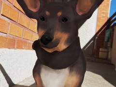 반려동물 커미션