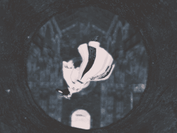 #시골개_사진관 안내