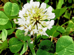 [1] 여긴 어디? 당신 누구?