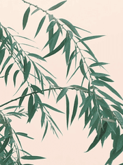 나의 최애를 위하여 (2022년) 백업