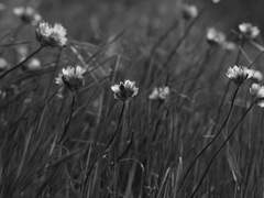 내 인생의 이야기