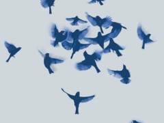 𝑝𝑟𝑜𝑓𝑖𝑙𝑒_ 𝑇𝐼𝑆𝐼𝑃𝐻𝑂𝑁𝐸