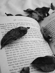 E.마피아 간부들의 학교 생활..