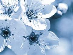 아베마츠 타카사토_5학년_XY