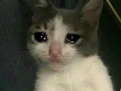 제발찾아주세요진짜제발요