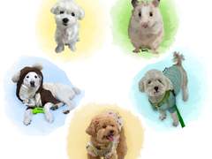 반려동물 그림 커미션