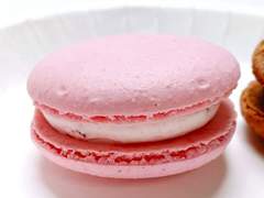 성심당 마카롱 리뷰