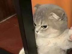 어서오세요, 네오 편의점입니다!