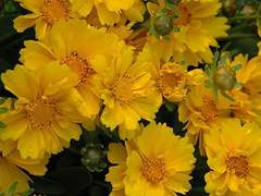 당신의 오늘 밤 꿈을 책임집니다. 01