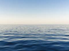 봄을 같이 보내고 싶어