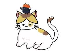 켄마냥과 히나가라스