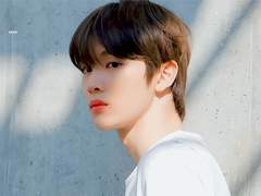 연애 생활기록부